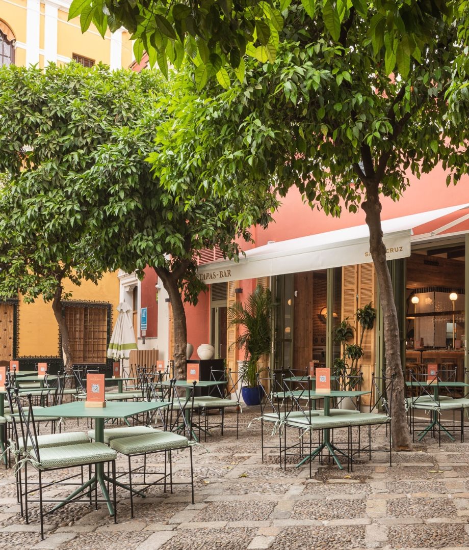 Santacruz Terraza